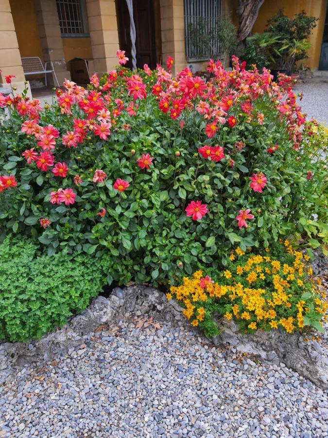 B&B Villa Sant'Anna Bergamo Eksteriør billede