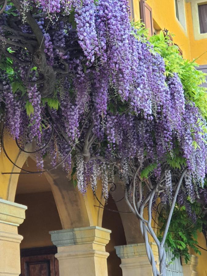 B&B Villa Sant'Anna Bergamo Eksteriør billede